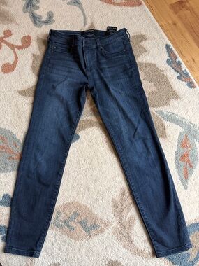 Liverpool Dark Wash Skinny Jeans - Blue